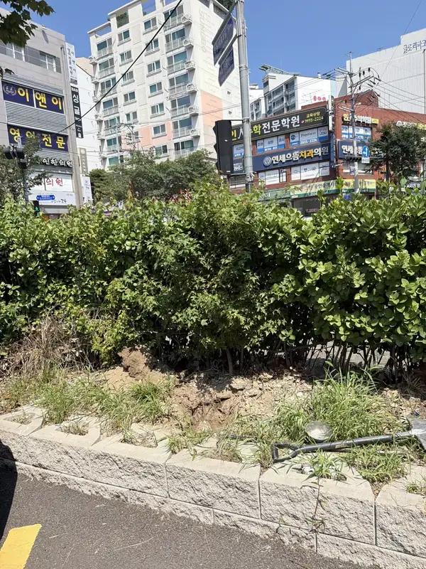 도로변 진입로 사각지대 확인용 도로반사경 전